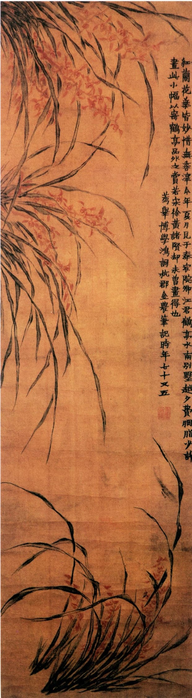 清· 金农绘画作品欣赏，风格独特，不愧为“扬州八怪”之首。