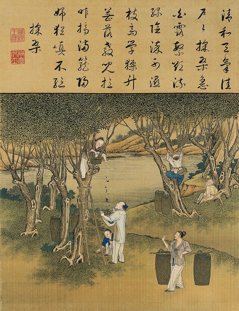 天子三推,皇后亲蚕,男耕女织,这是中国古代很美丽的小农经济图景.